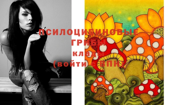 прущая мука Мегион