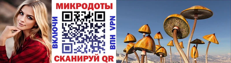 Галлюциногенные грибы Cubensis  это официальный сайт  Оленегорск 